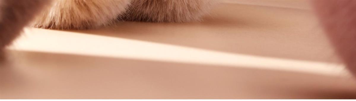 White warm ear muffs for women