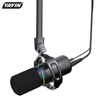 Close-up of heart-shaped pickup pattern microphone
