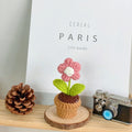 B Style Skin Pink Puff Flower Potted Plant