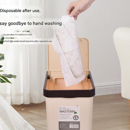 Mop Display with Cleaning Supplies