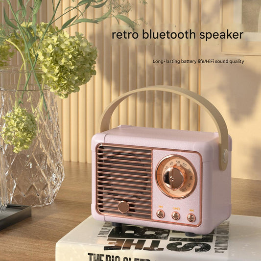 Wireless speaker for outdoor fun