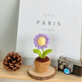 B Style Purple Daisy Potted Plant