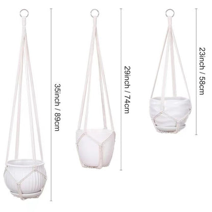 Compact hanging plant display image 9