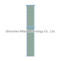 42 Chrysanthemum blue