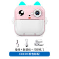 EX100 Pink Standard Package (Pack of 2)