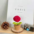 B Style Red Rose Potted Plant
